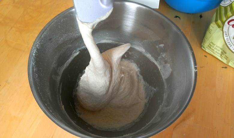 Pizza dough after kneading. 