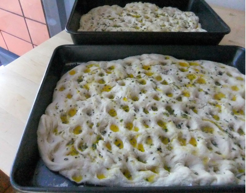 Focaccia Bread drenched in oil & sea salt, ready for baking 