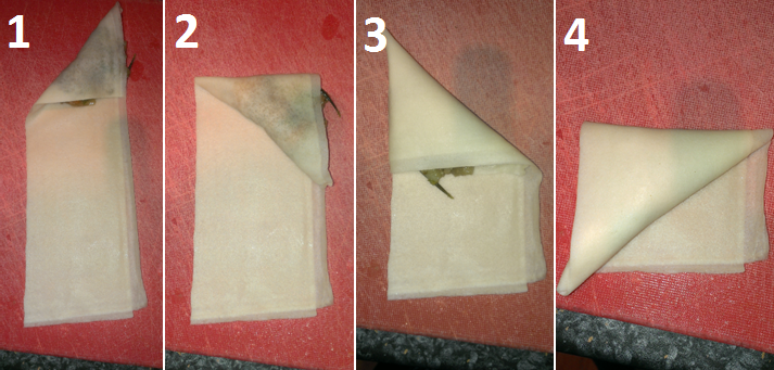 How to fold a Samosa