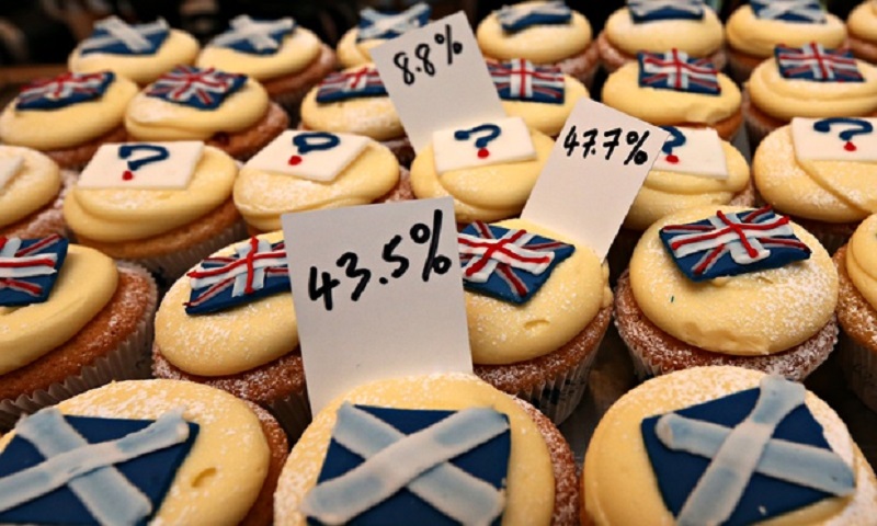 Referendum Cupcakes. Image: guardian.com