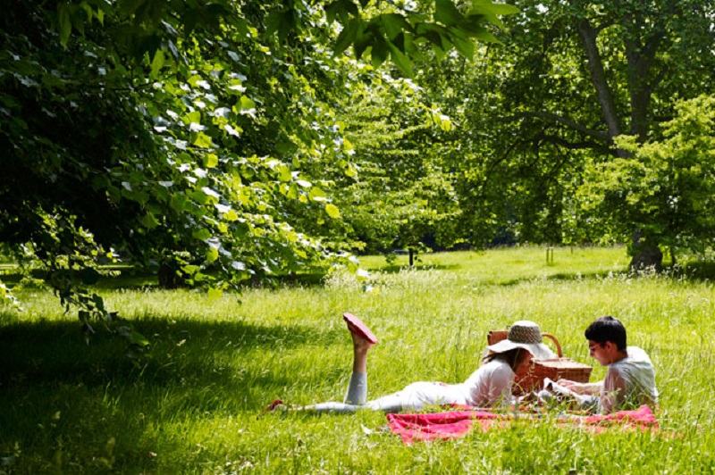 Picnic and PDA in the park 